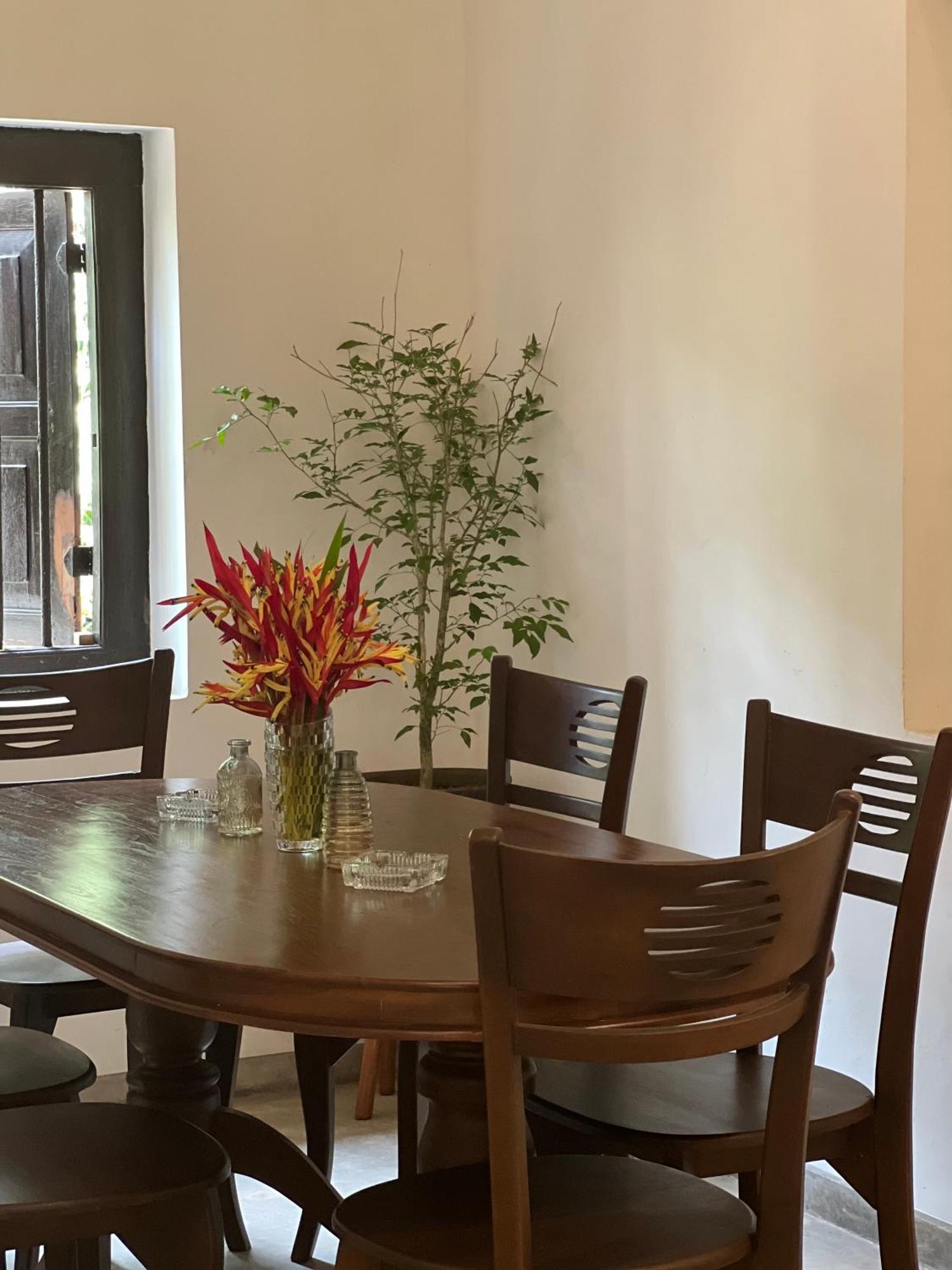 Medusa Bungalow - Galle Bagian luar foto