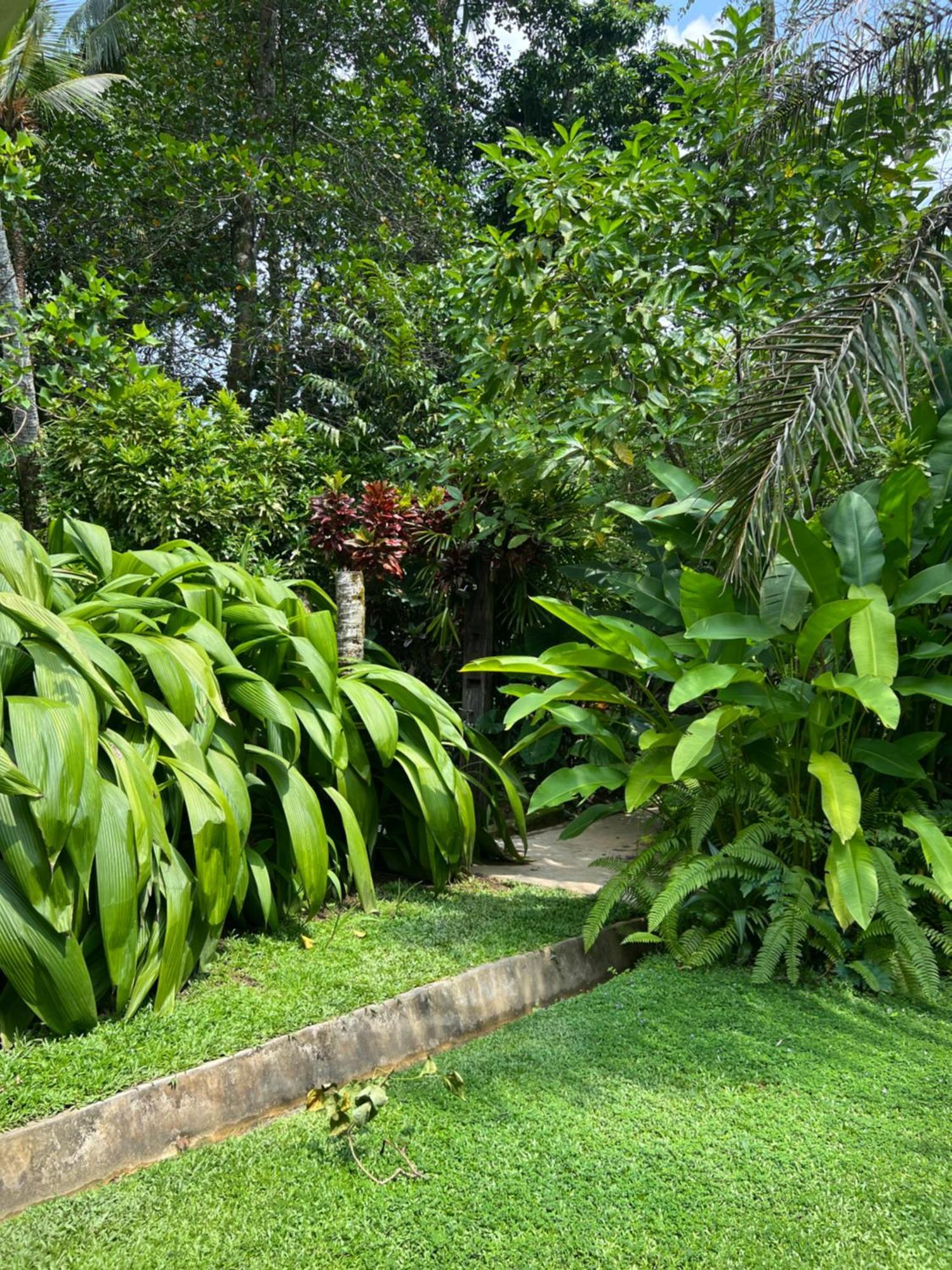 Medusa Bungalow - Galle Bagian luar foto