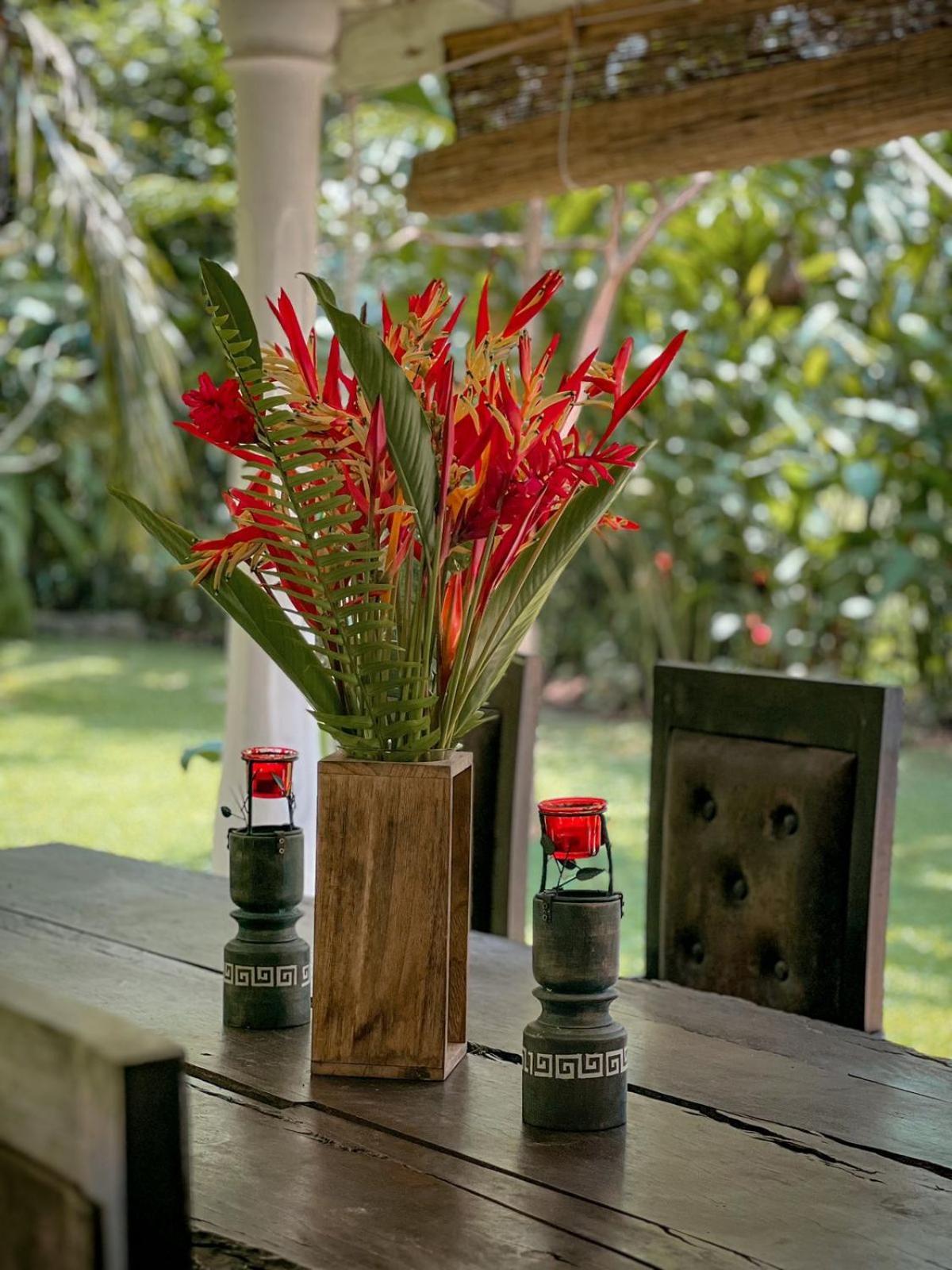 Medusa Bungalow - Galle Bagian luar foto